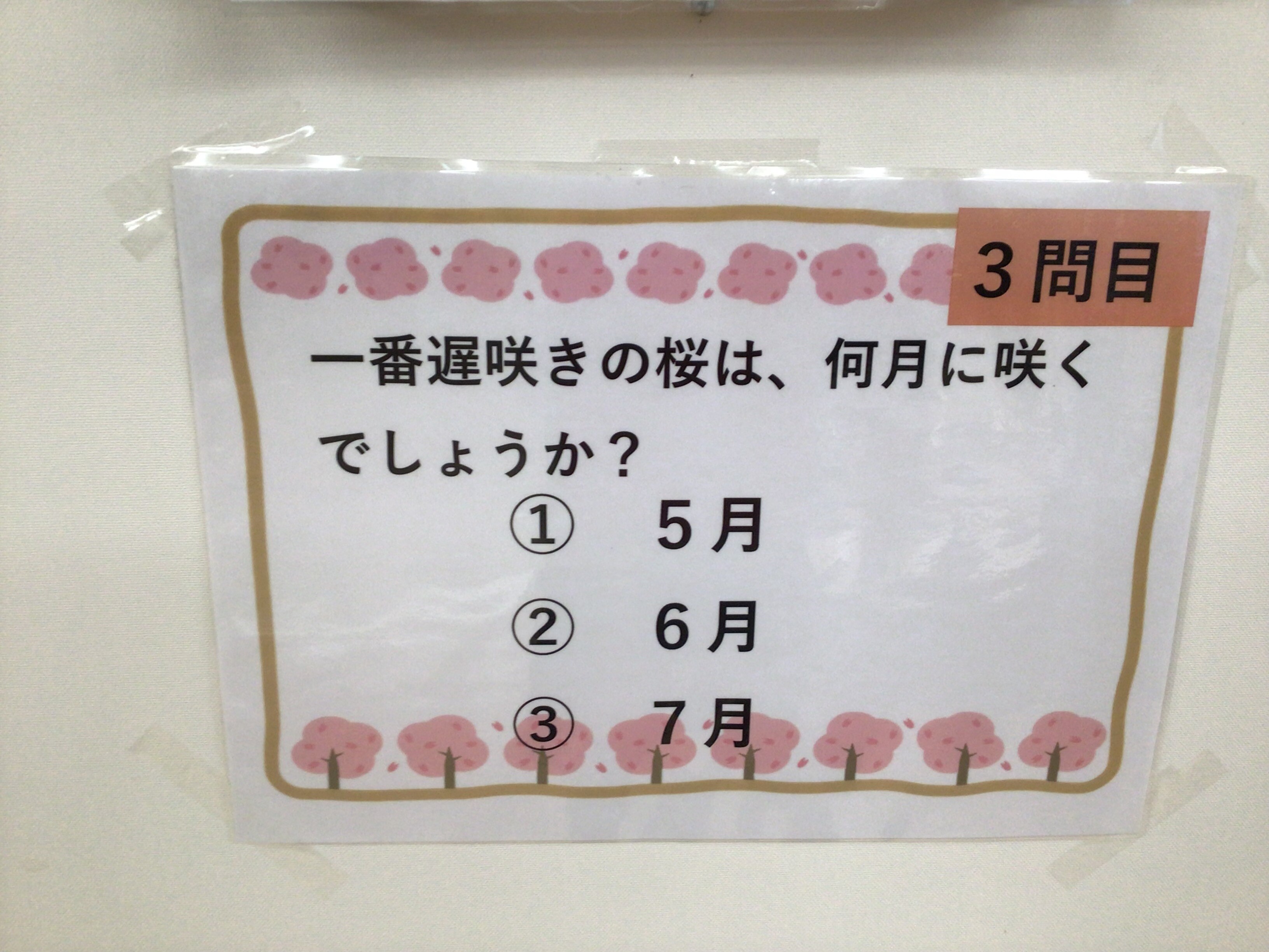【写真3】.jpeg