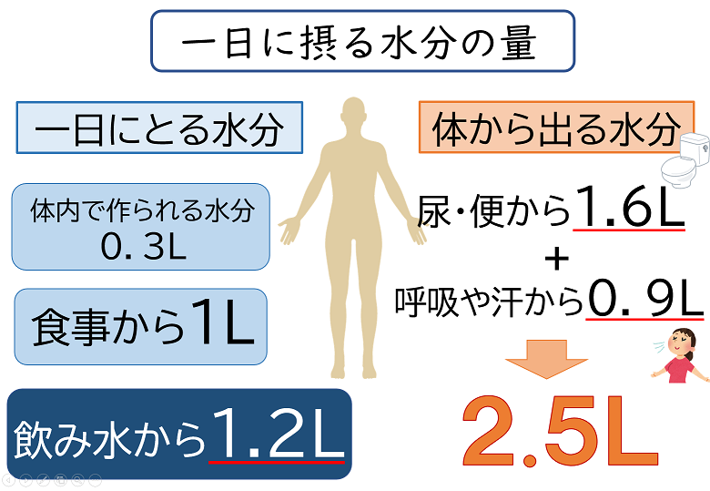 20211109通所一日に必要な水分の量.png